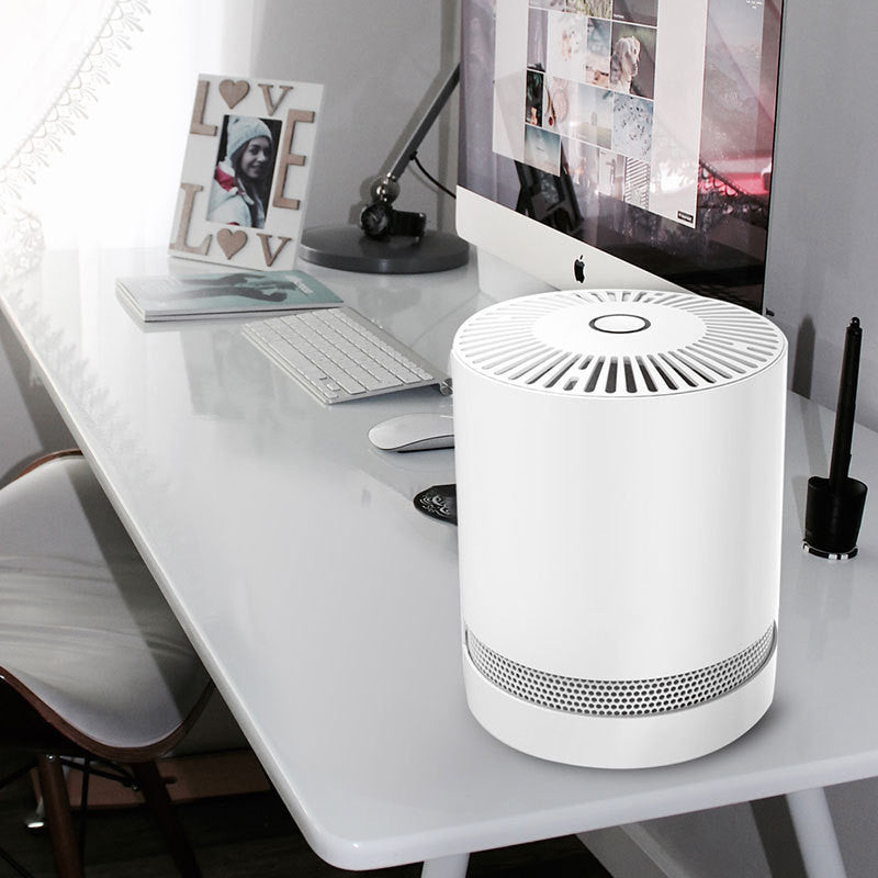 Portable air purifier