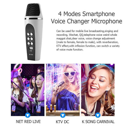 Mobile wireless mini microphone