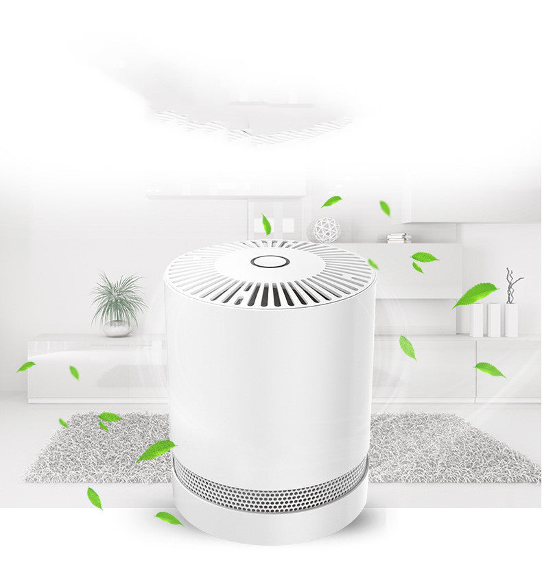 Portable air purifier