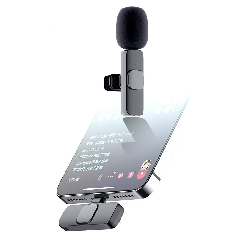 Portable Microphone